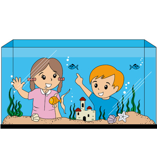 Picture of Booking for clean Aquarium