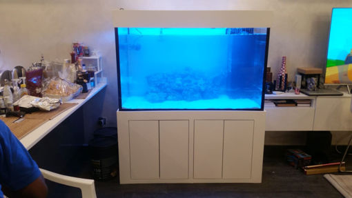 Picture of Design and implementation of a aquarium