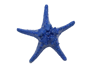 Picture of star sea  17 cm