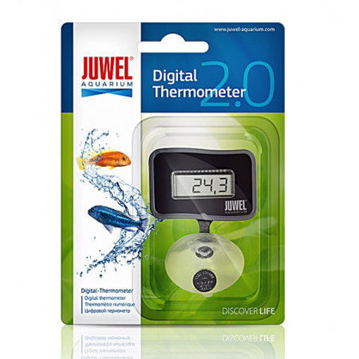 Picture of digital thermometer