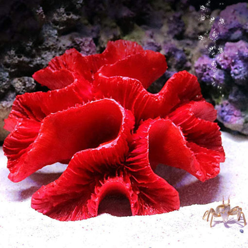 Picture of coral artificial 353