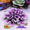 Picture of coral artificial 357