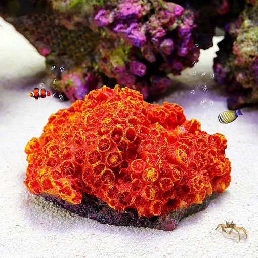 Picture of coral artificial 362