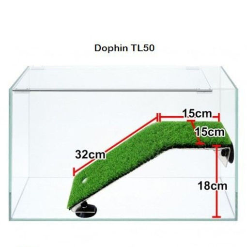 Picture of Turtle ladder Dolphin TL50