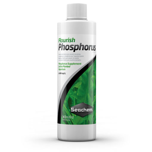 صورة Flourish Phosphorus Seachem 500ml