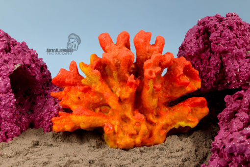 Picture of coral artifical 1120