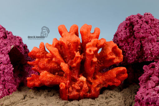 Picture of coral artifical 1124