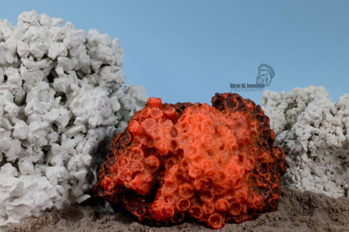 Picture of coral artifical 1129