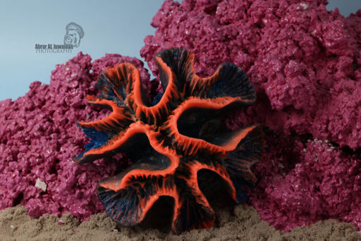 Picture of coral artifical 1143