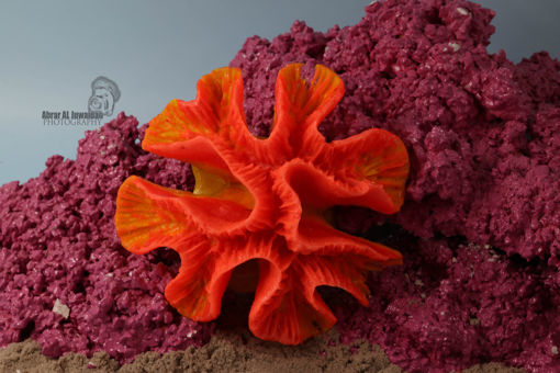 Picture of coral artifical 1147