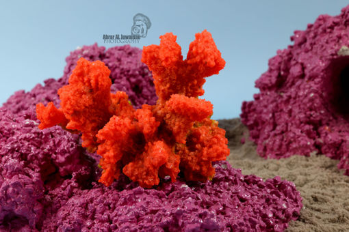 Picture of coral artifical 1153