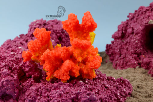 Picture of coral artifical 1155