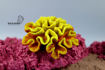 Picture of coral artifical 1161