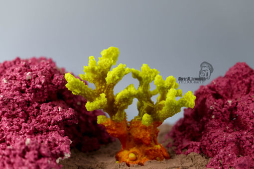 Picture of coral artifical 1166