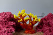 Picture of coral artifical 1167