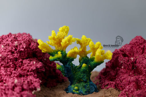 Picture of coral artifical 1168