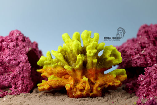Picture of coral artifical 1187