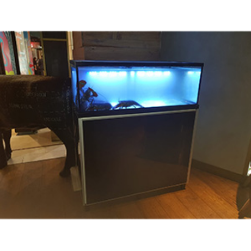 Picture of DESIGN AQUARIUM