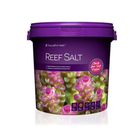 Picture of REEF SALT