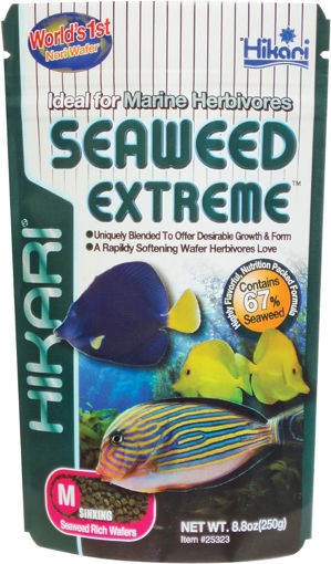 Picture of FOOD SEAWEED EXTREME